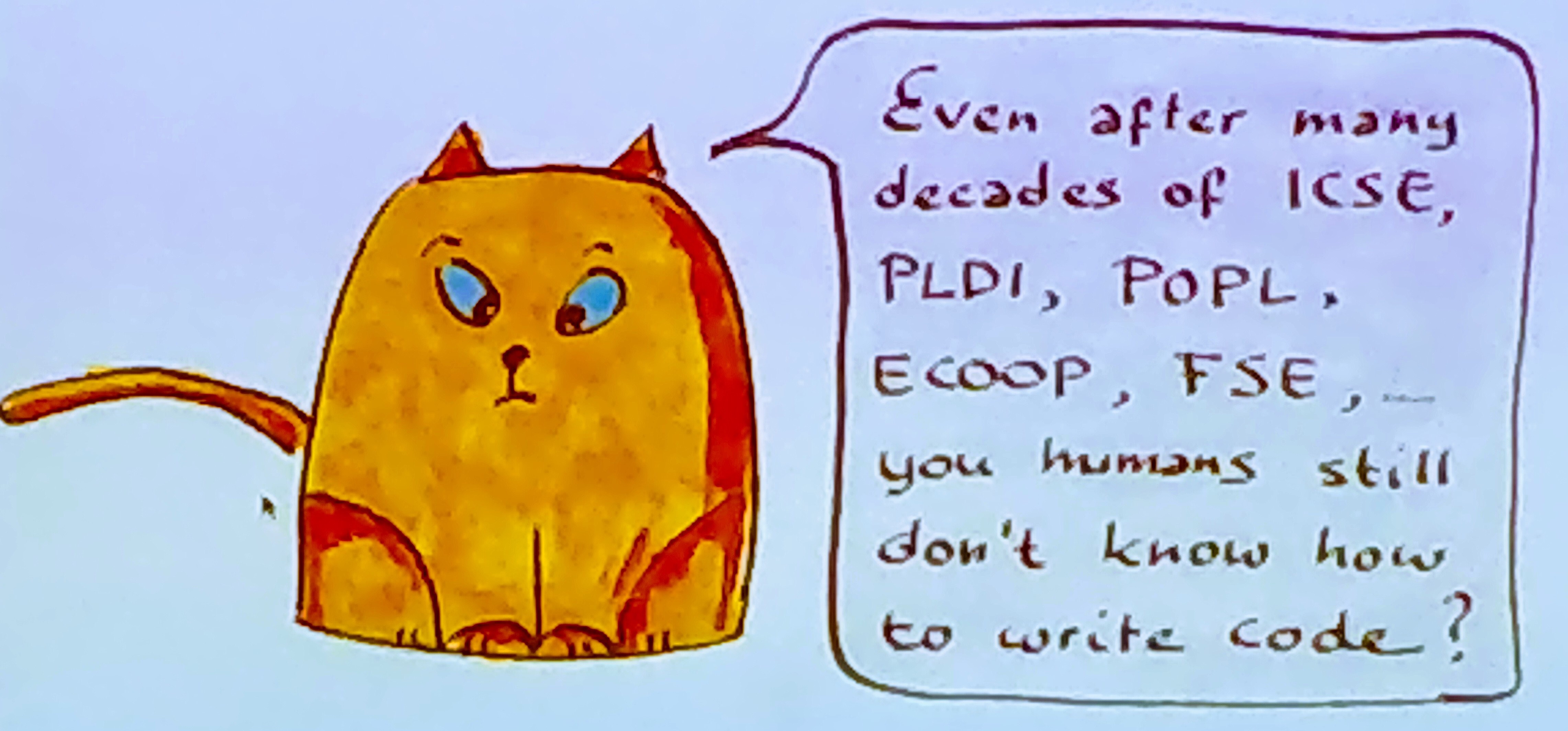 An impertinent cat from the keynote presentation by Erik Meijer.