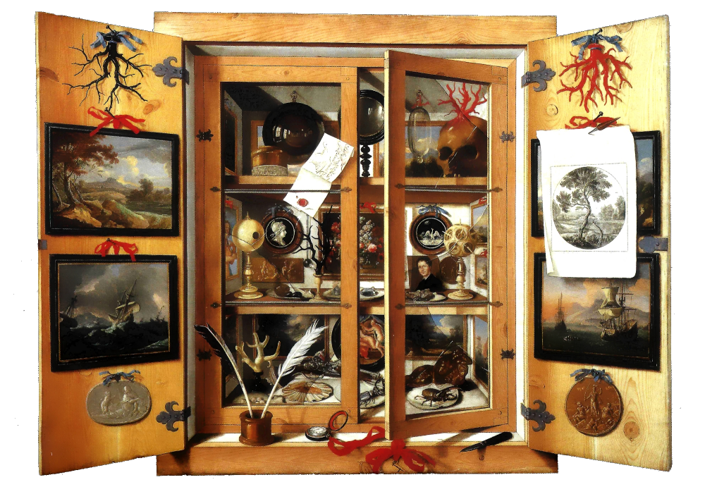 Domenico Remps - Cabinet of Curiosities